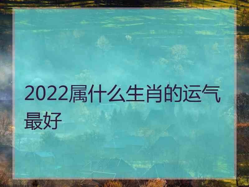 2022属什么生肖的运气最好