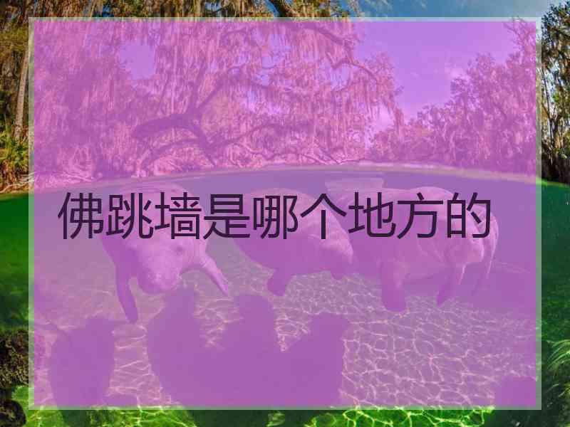 佛跳墙是哪个地方的