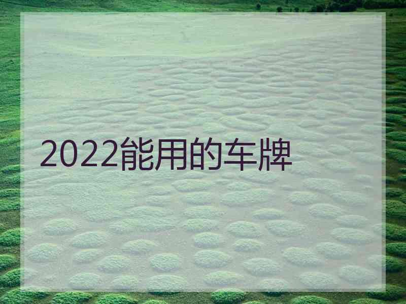 2022能用的车牌